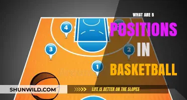 Understanding Basketball: Key Positions and Their Roles