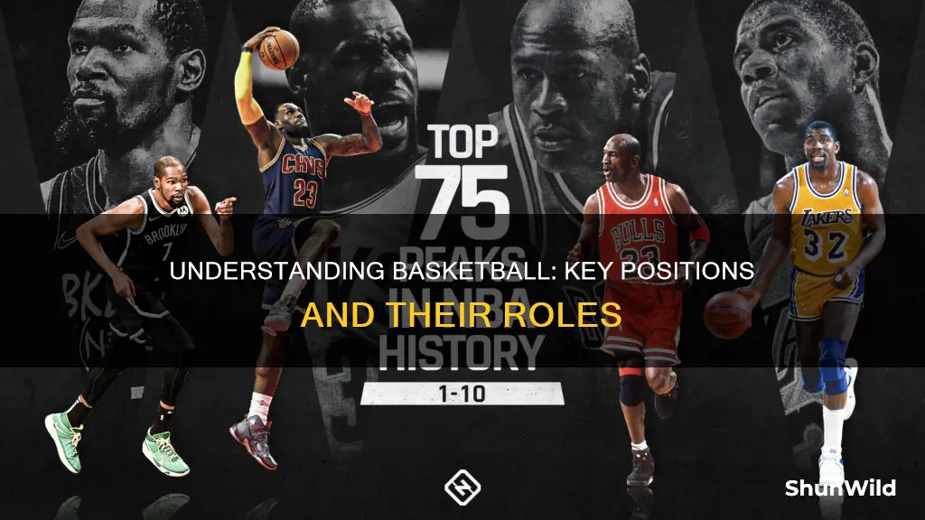 what are 5 positions in basketball