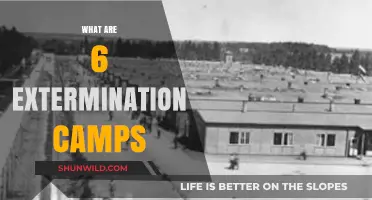 The Dark History of Nazi Extermination Camps: Six Explored