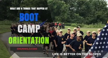 Unveiling Boot Camp Orientation: 6 Key Experiences to Expect