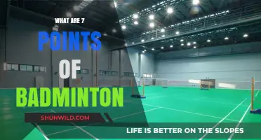 Badminton Court Points: Know Your Scoring Spots