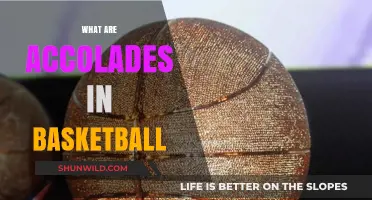 Basketball Accolades: Understanding Player Achievements and Honors