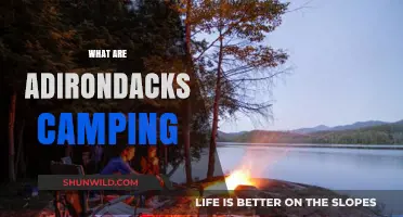 Exploring the Great Outdoors: What Are Adirondacks Camping Adventures?
