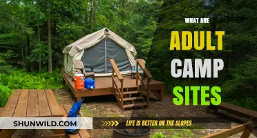 Exploring Adult Campsites: Unique Getaways for Grown-Up Adventures