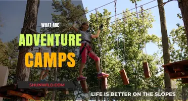 Exploring Adventure Camps: Thrilling Outdoor Experiences for All Ages