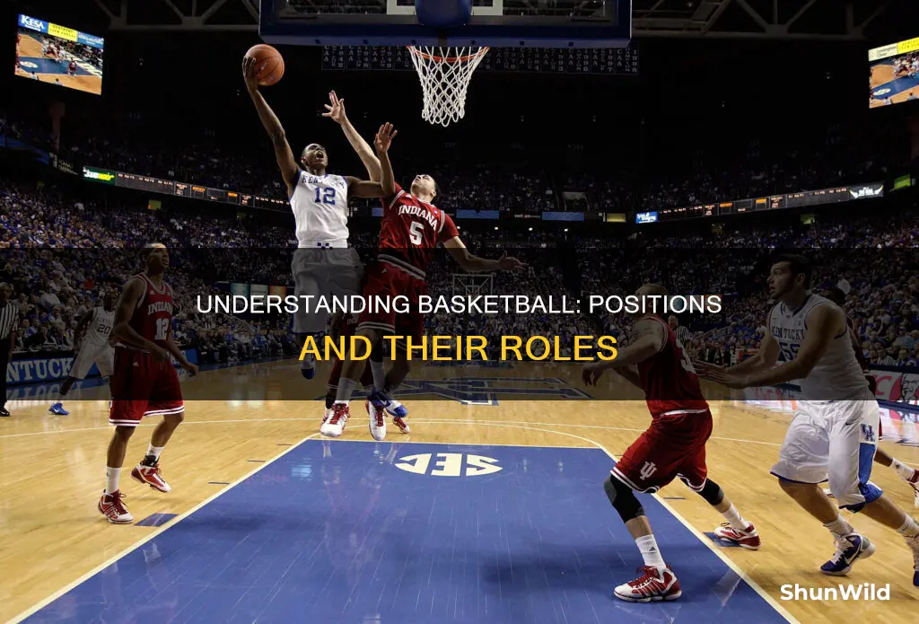 what are all basketball positions