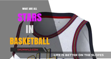 Basketball All-Stars: Who's Who and How They Shine