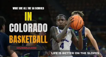 Colorado's 5A Basketball Schools: A Comprehensive List