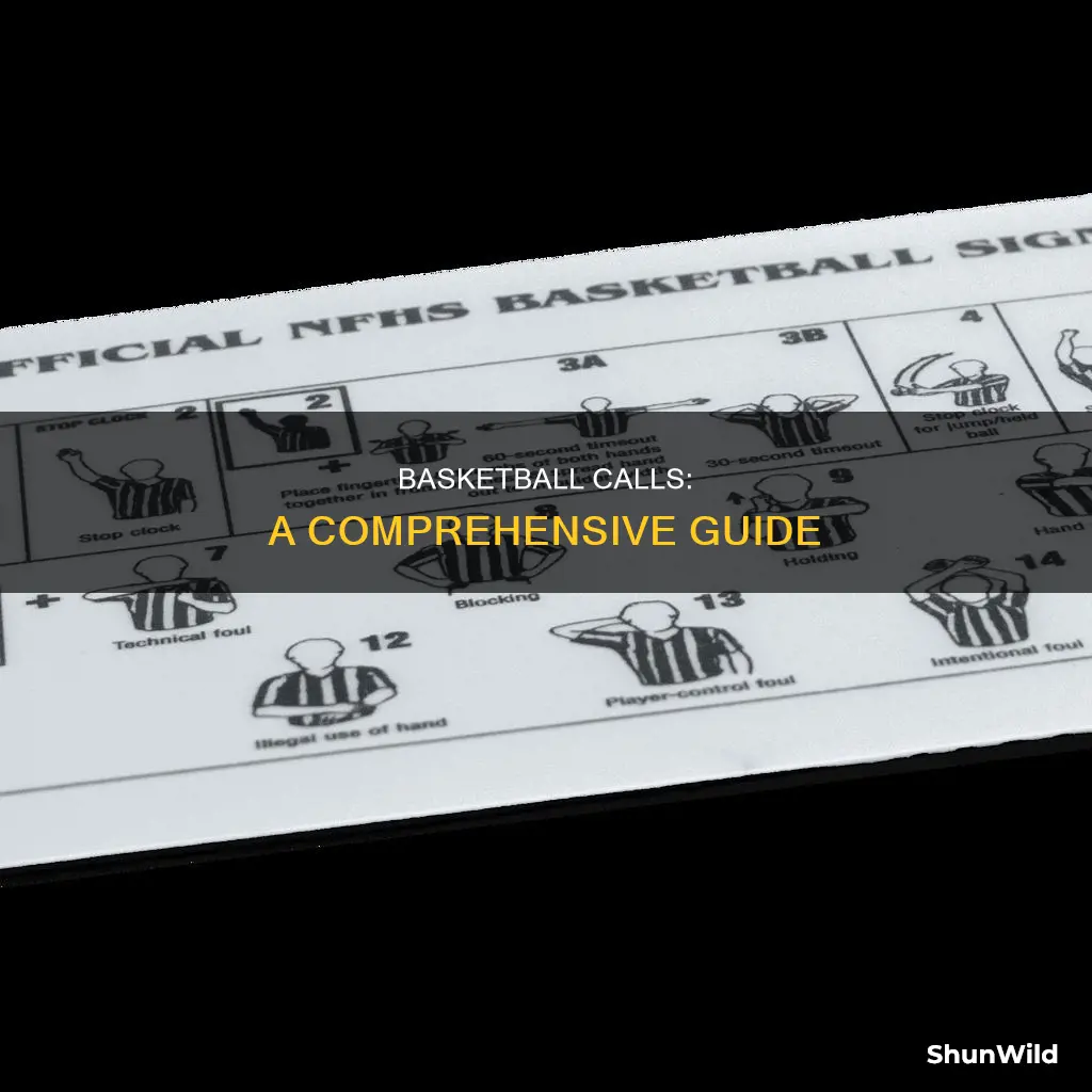 what are all the calls in basketball