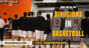 Basketball Divisions: Understanding the Competitive Structure