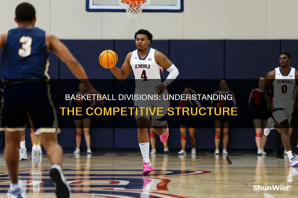 what are all the diviisions in basketball