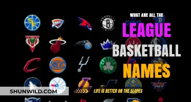 The Many Names of Basketball Leagues
