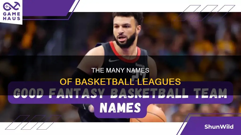 what are all the league basketball names