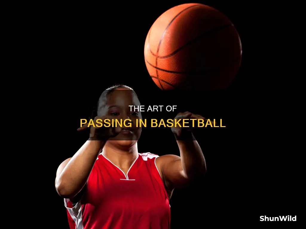 what are all the passes in basketball