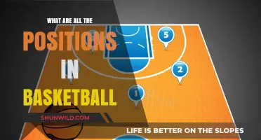 Understanding Basketball: All the Positions and Their Roles