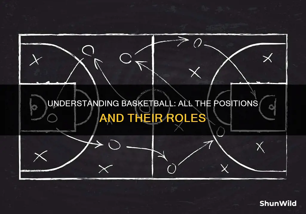 what are all the positions in basketball