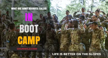 Understanding the Term for Army Recruits During Boot Camp Training
