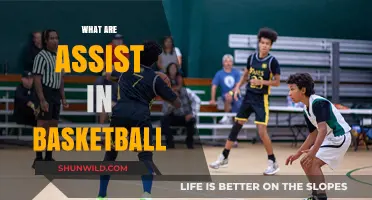 Assist: Basketball's Unsung Hero