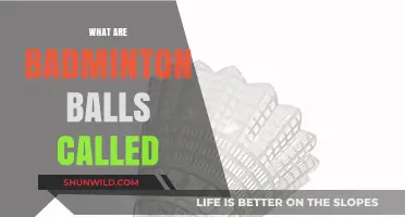 The Real Name of Badminton Balls