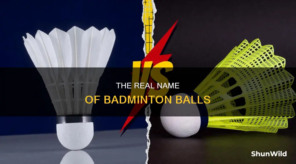 what are badminton balls called