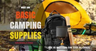 Essential Camping Gear: Your Ultimate Guide to Basic Supplies