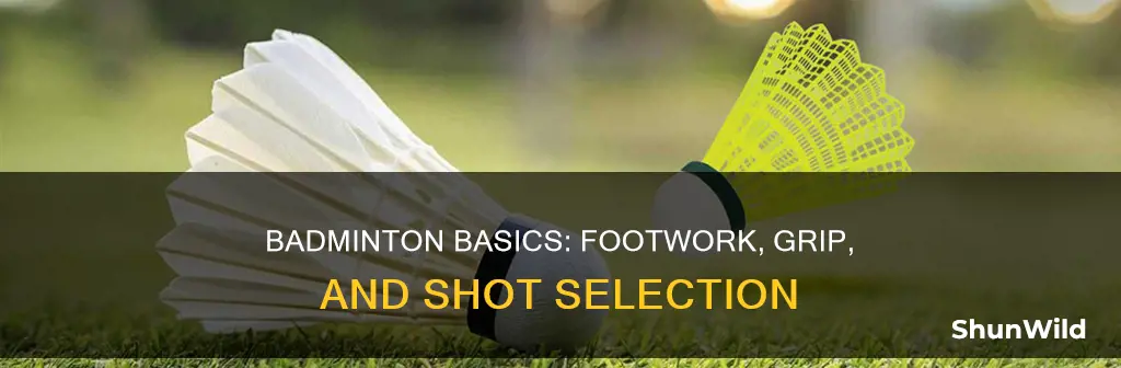 what are basic skills in badminton