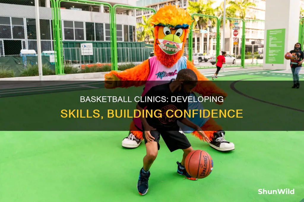 what are basketball clinics