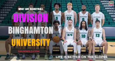 Binghamton University: Basketball Divisions and Teams Explained