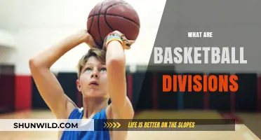 Understanding Basketball Divisions: How They Work