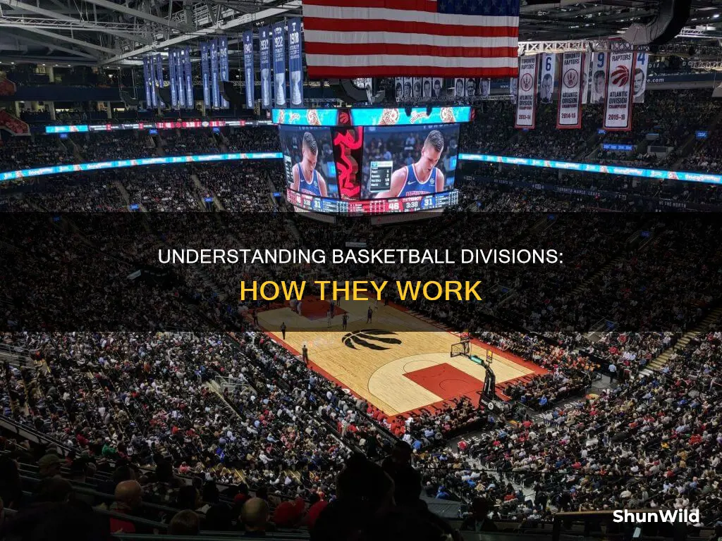 what are basketball divisions