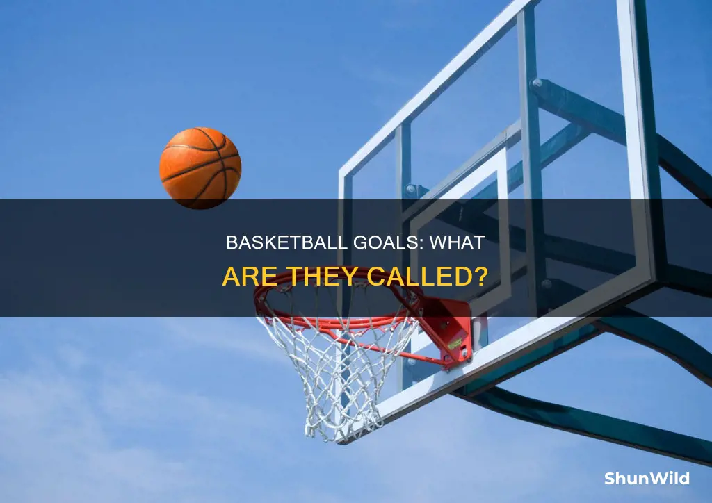 what are basketball goals called