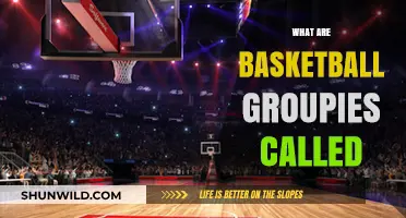 The Real Deal on Basketball Groupies