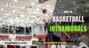 Intramural Basketball: A Fun, Competitive Sport for All