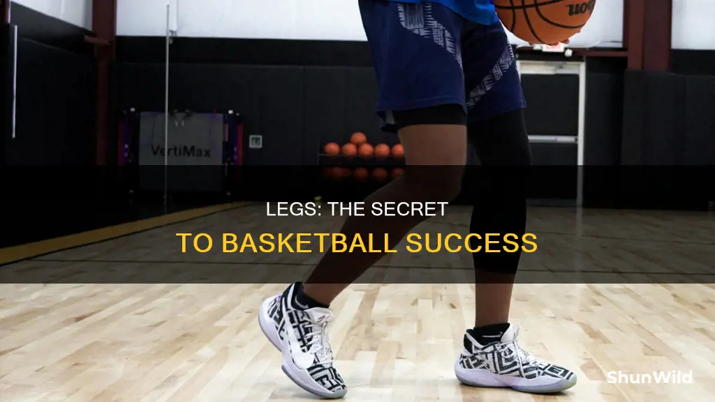 what are basketball legs