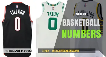Numbers on the Basketball Court: What Do They Mean?