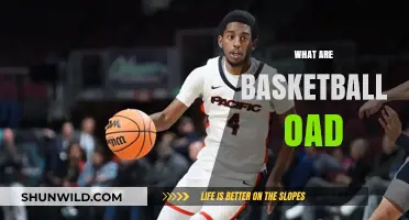 Understanding Basketball: The Road to Success