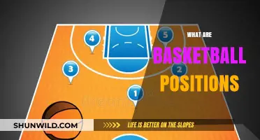 Understanding Basketball Positions: Roles and Responsibilities