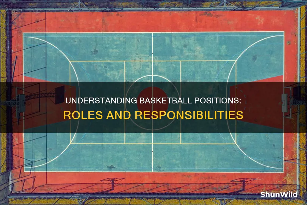 what are basketball positions