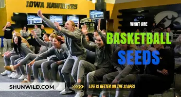 Understanding Basketball Seeds: What Are They?