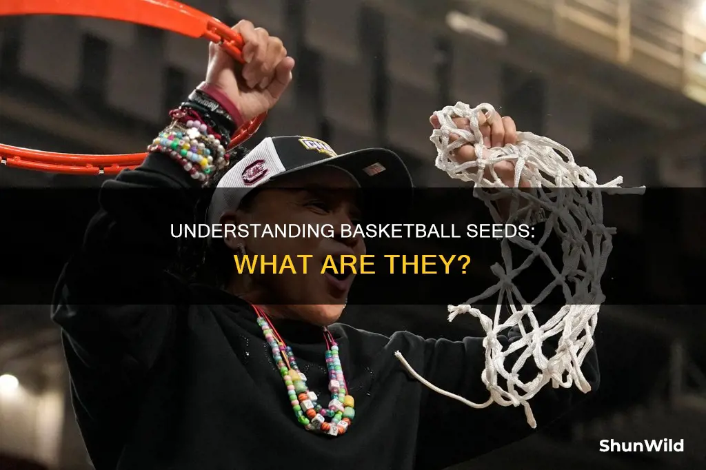 what are basketball seeds