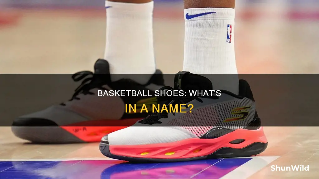 what are basketball shoes called