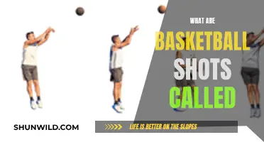 The Art of Basketball: Mastering the Shots
