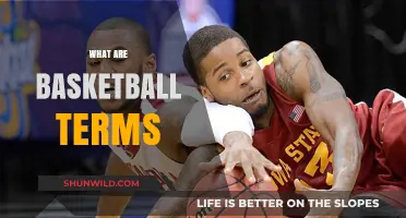 Basketball Terms: A Guide to the Game's Language