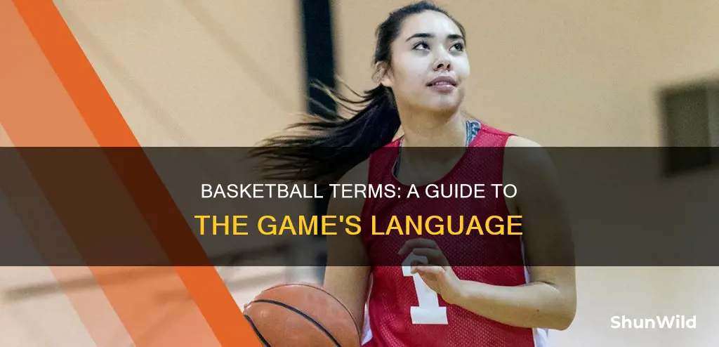 what are basketball terms
