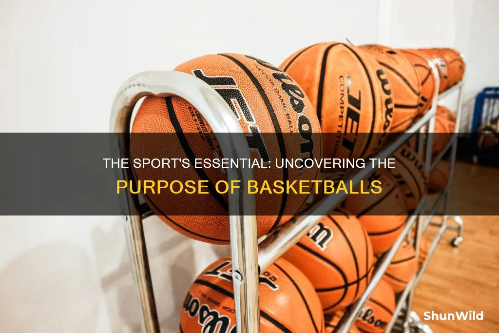 what are basketballs used for