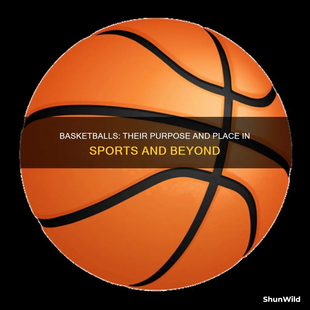 what are basketballs used for