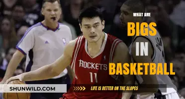 Bigs in Basketball: Understanding the Court's Pivotal Players