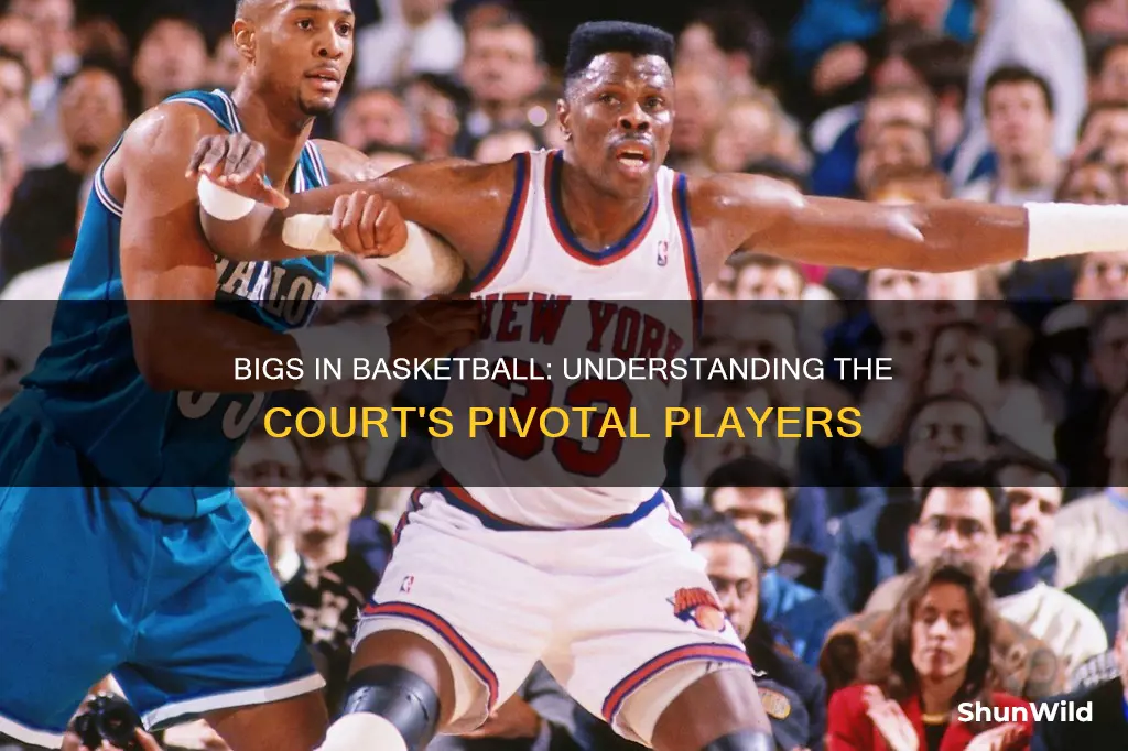 what are bigs in basketball