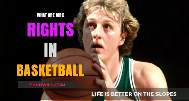 Bird Rights: Understanding Player Contractual Rights in Basketball