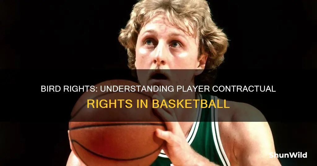 what are bird rights in basketball
